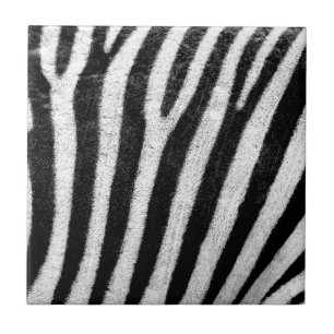 zebra Stripes Tegeltje