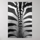 Zebra Strips Poster (Voorkant)