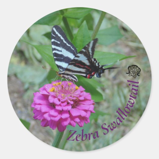 Zebra Swallowtail Ronde Sticker (Voorkant)