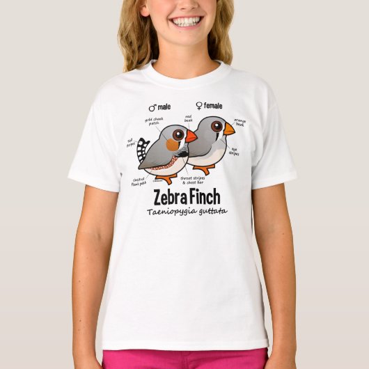 Zebra T-shirt (Voorkant)