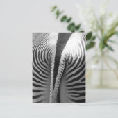 Zebra Tail Briefkaart (Staand voorkant)