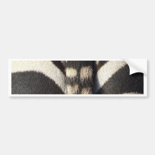 Zebra Tail Bumpersticker