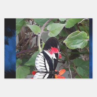 Zebra tail butterfly inpakpapier vel