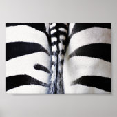 Zebra Tail Closeup Poster (Voorkant)