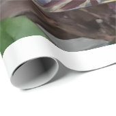 Zebra-tailvlinder Cadeaupapier (Rol Hoek)