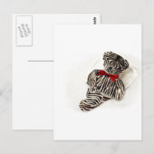 Zebra Teddy Briefkaart (Voorkant / Achterkant)
