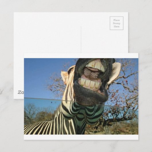Zebra Teeth Briefkaart (Voorkant / Achterkant)