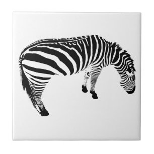 zebra tegeltje