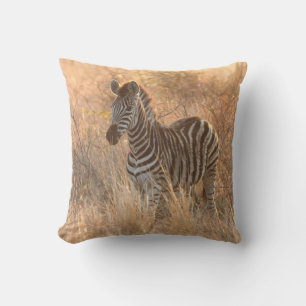 Zebra tegen zonsopgang buitenkussen