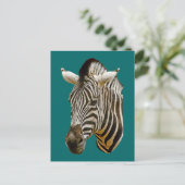 Zebra tekening briefkaart (Staand voorkant)