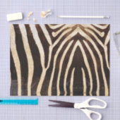 Zebra Tissuepapier (Craft)