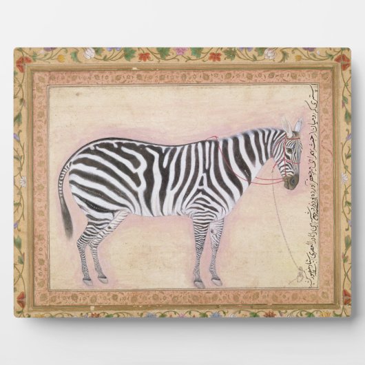 Zebra, uit het 'Minto Album', 1621 (gouache on pa) Fotoplaat (Voorkant)
