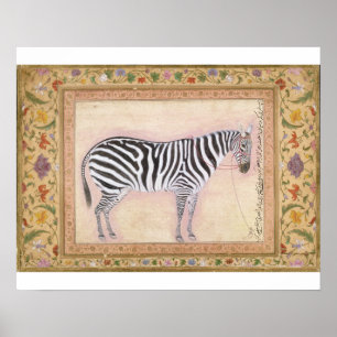 Zebra, uit het 'Minto Album', 1621 (gouache on pa) Poster