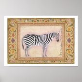 Zebra, uit het 'Minto Album', 1621 (gouache on pa) Poster (Voorkant)