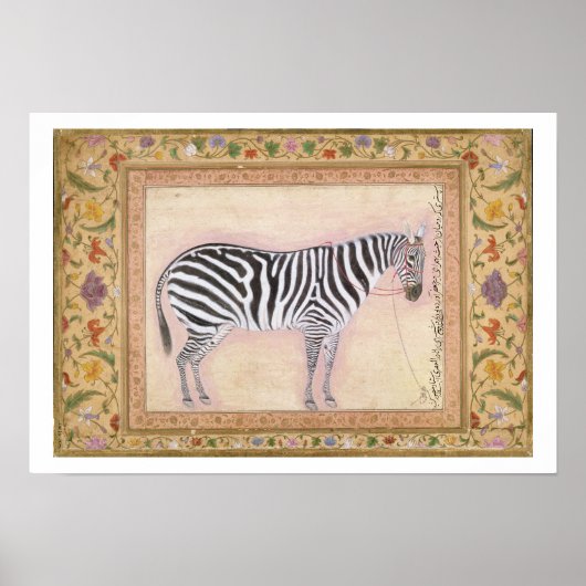 Zebra, uit het 'Minto Album', 1621 (gouache on pa) Poster (Voorkant)