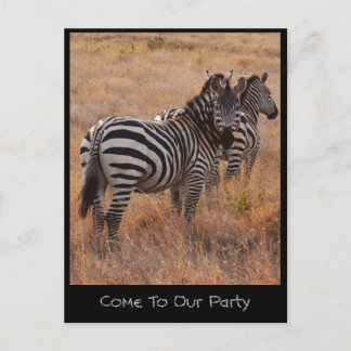 Zebra uitnodigingskaart uitnodiging briefkaart