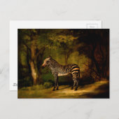 Zebra van George Stubbs (1763) Briefkaart (Voorkant / Achterkant)