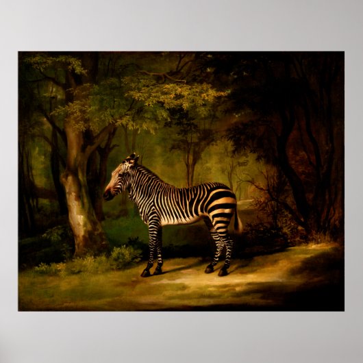 Zebra van George Stubbs (1763) Poster (Voorkant)