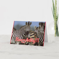 zebra verjaardag