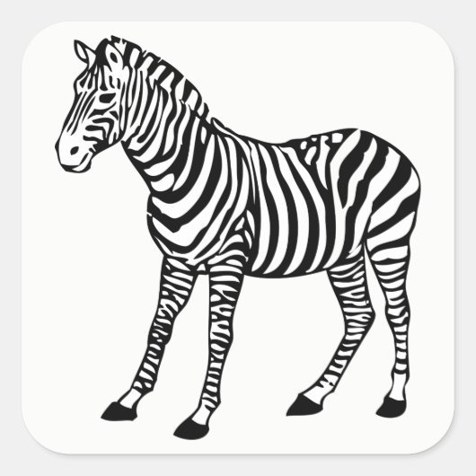 zebra vierkante sticker (Voorkant)