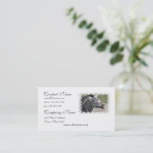 Zebra Visitekaartje glimlachen (Staand voorkant)