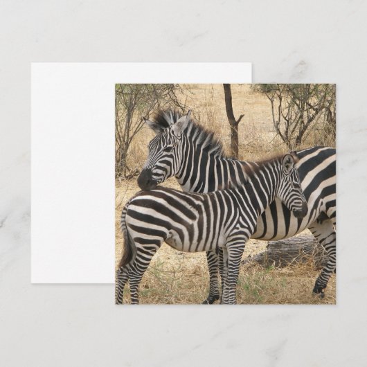 Zebra voor moeder en Baby Kaart (Voorkant / Achterkant)