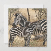 Zebra voor moeder en Baby Kaart (Voorkant)