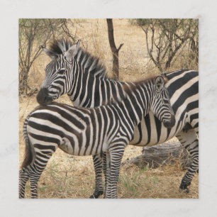 Zebra voor moeder en Baby Kaart