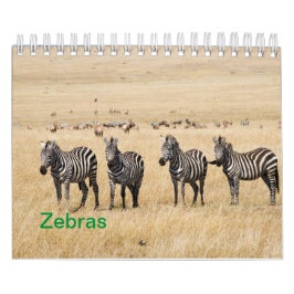 Zebra Wandkalender Kalender