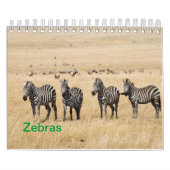 Zebra Wandkalender Kalender (Hoes)