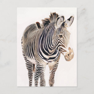 "Zebra" Waterverf Wildlife Art Briefkaart