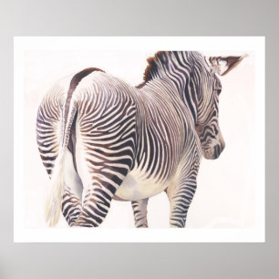 zebra Wildlife Waterverf Poster