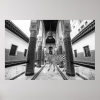 Zebra Zwart Wit Gebouw Landschap