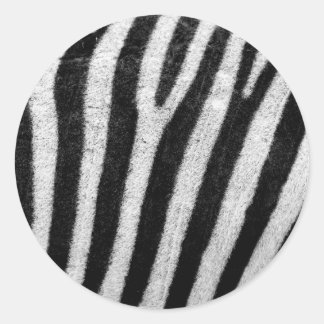 Zebra zwart-wit ronde sticker