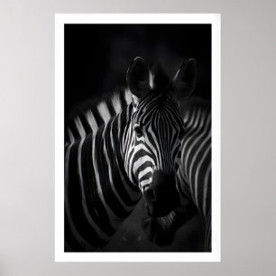 Zebra zwart-witprint, close-up portret poster