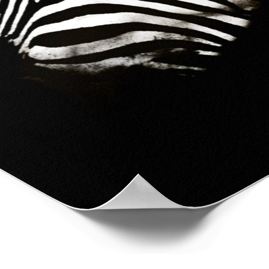 Zebra zwarte en witte strepen poster (Hoek)