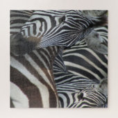 zebralijnen legpuzzel (Horizontaal)