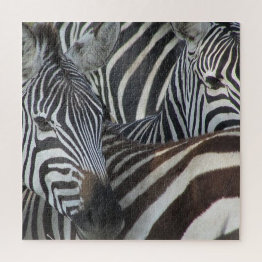 zebralijnen legpuzzel (Verticaal)