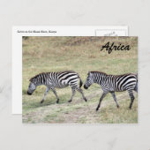 zebrapad briefkaart (Voorkant / Achterkant)