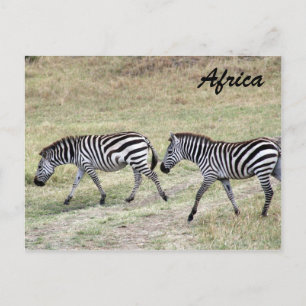zebrapad briefkaart