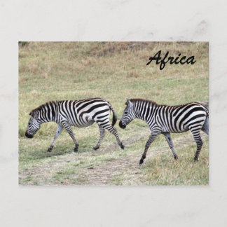 zebrapad briefkaart