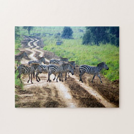 zebrapad legpuzzel (Horizontaal)
