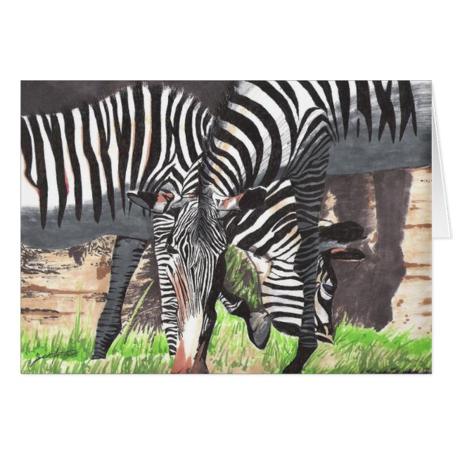 Zebras (Voorkant Horizontaal)
