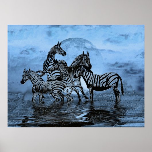 Zebras5 Poster (Voorkant)