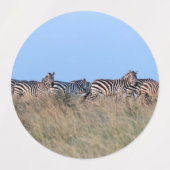 Zebras bij schemering labels (Design 2)