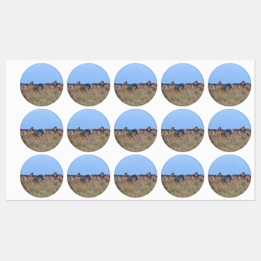 Zebras bij schemering labels (Vel)