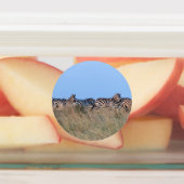 Zebras bij schemering labels (Aangebracht)