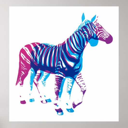 Zebras - blauw en Paars Poster (Voorkant)