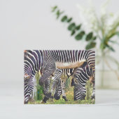 ZEBRAS BRIEFKAART (Staand voorkant)