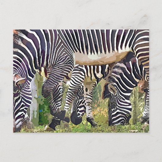 ZEBRAS BRIEFKAART (Voorkant)